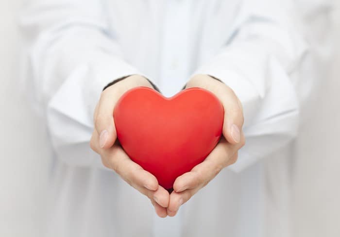 Doctor Holding Heart Doctor Holding Heart