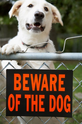 beware-of-dog