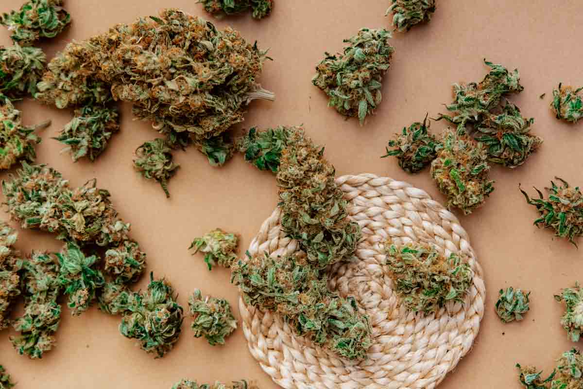 cannabis for personal use