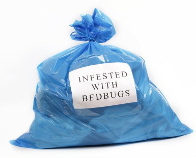 does home insurance cover bedbug infestation