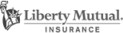Insurance Brand Logo
