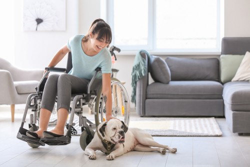 disability insurance