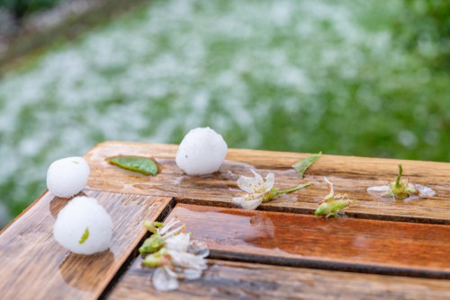 hail storm damage home insurance