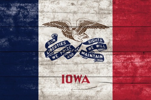 Iowa state flag 