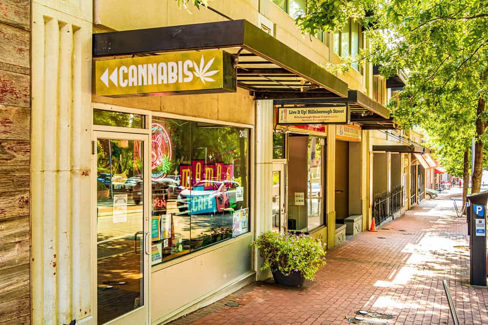 cannabis business insurance